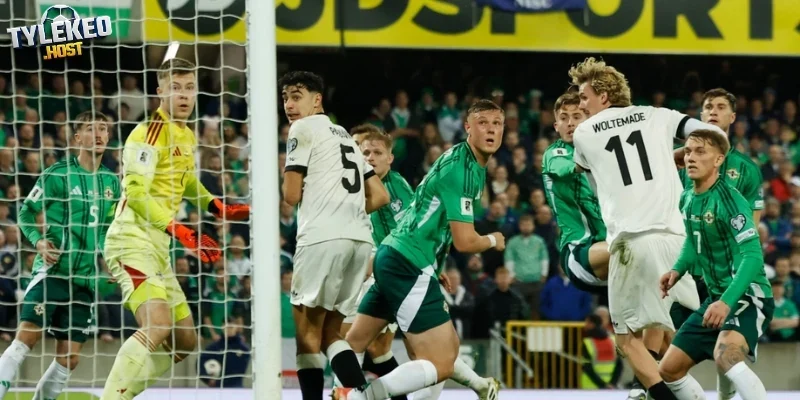 Dự đoán kèo trong trận New Zealand vs Bỉ