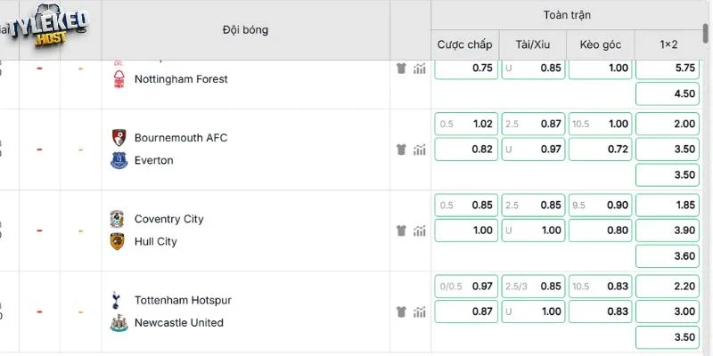 Đánh giá kèo Tottenham vs Newcastle 29/8